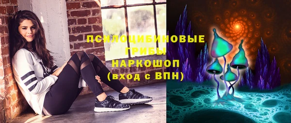 spice Беломорск