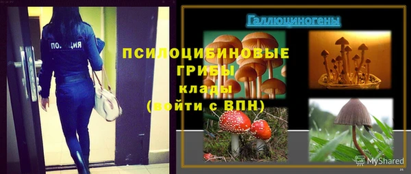 spice Беломорск