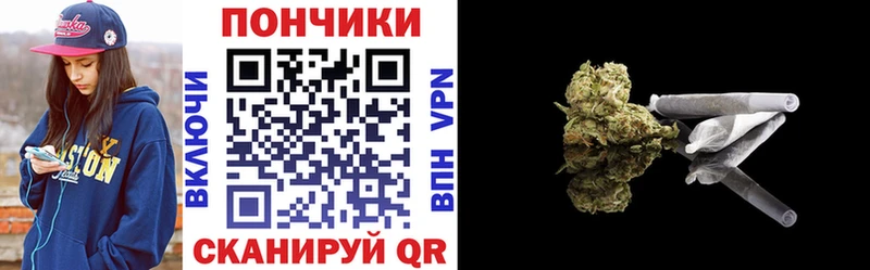 наркотики  Жердевка  Бошки Шишки сатива 